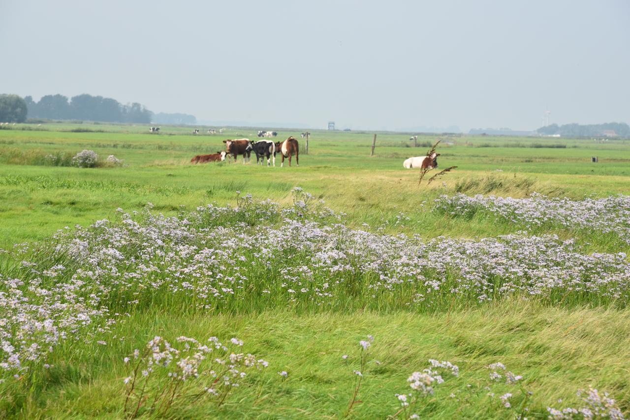 Countryside Eco Natuurhuisjes Ee Exteriér fotografie