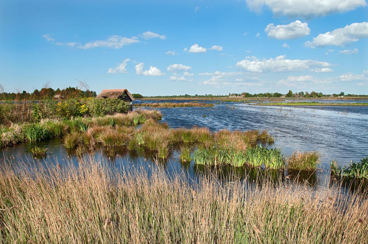 Countryside Eco Natuurhuisjes Ee Exteriér fotografie