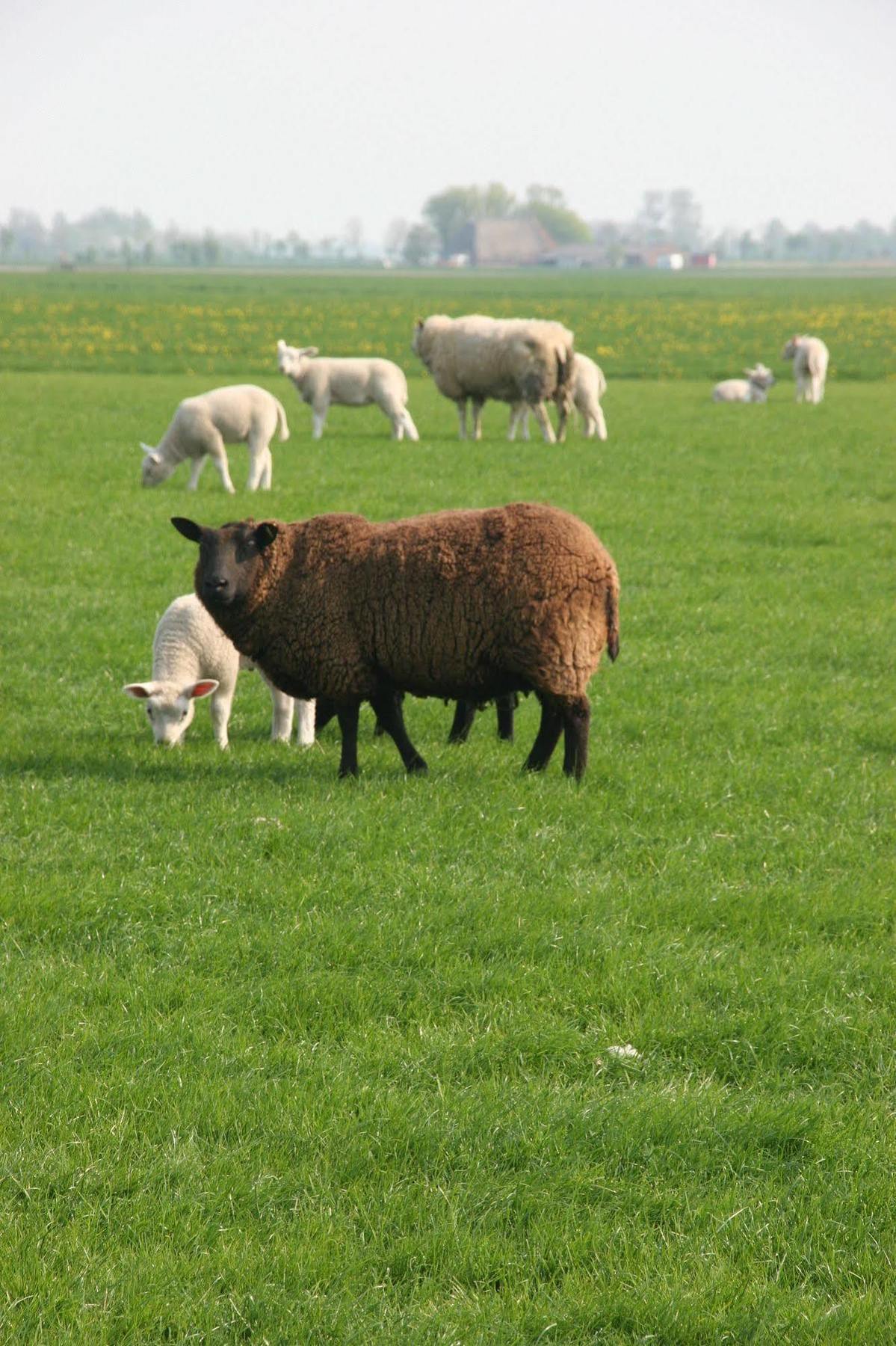 Countryside Eco Natuurhuisjes Ee Exteriér fotografie