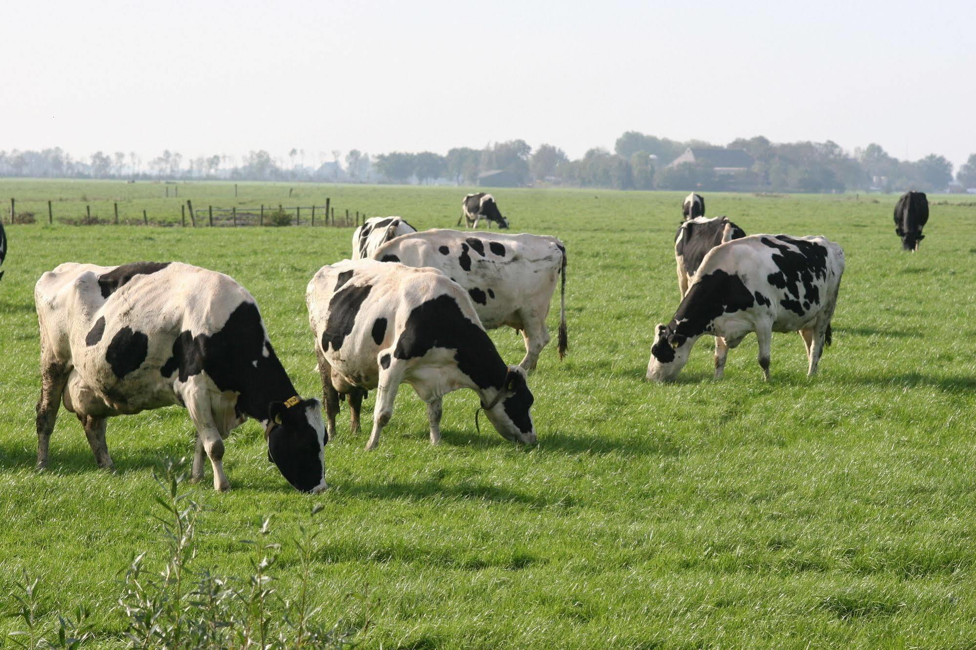 Countryside Eco Natuurhuisjes Ee Exteriér fotografie